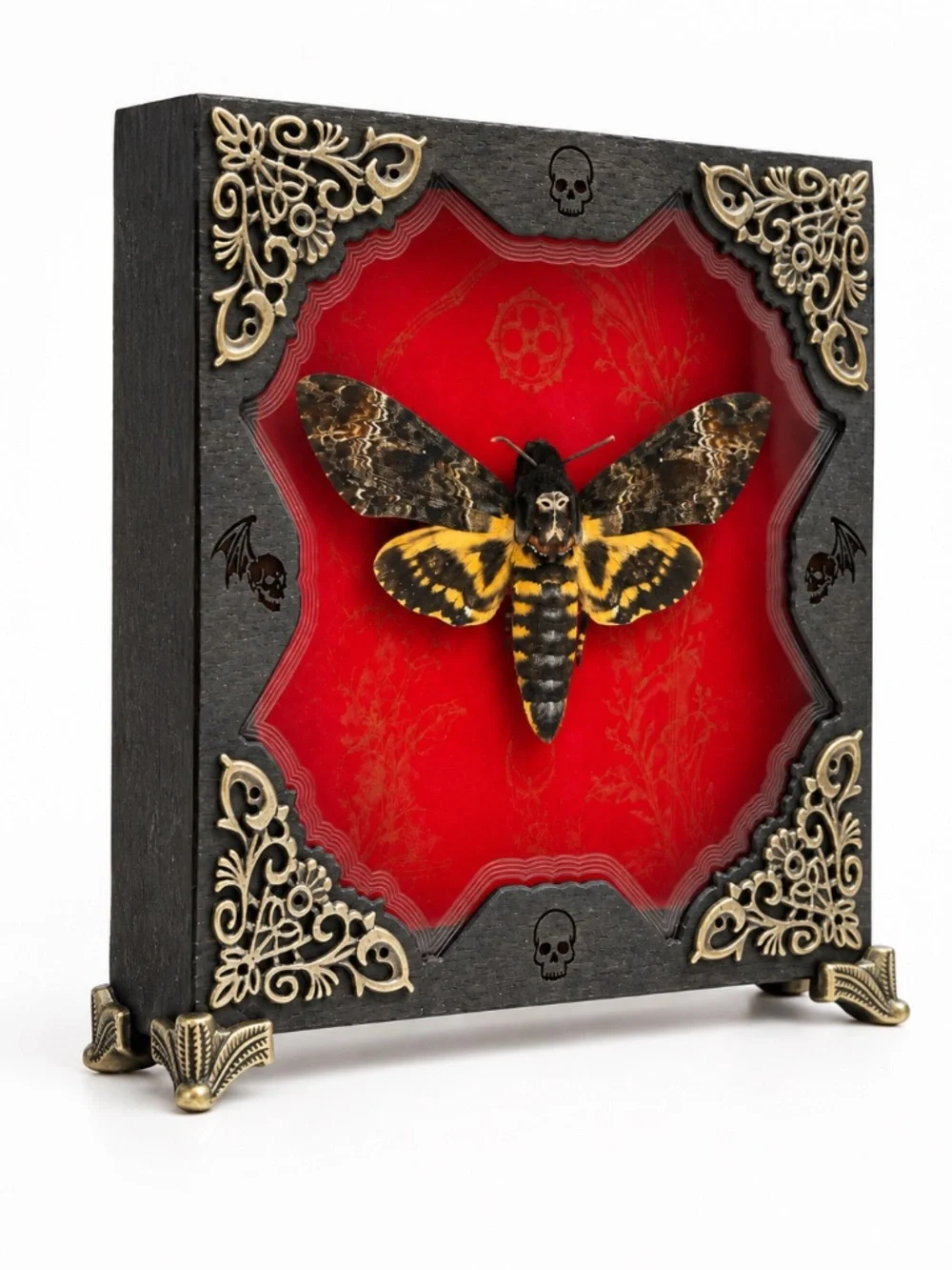 Gothic Moth Shadow Box, Preserved Specimen with Skull and Bat Details